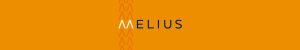 Logo design for Melius in Ipswich, Suffolk.